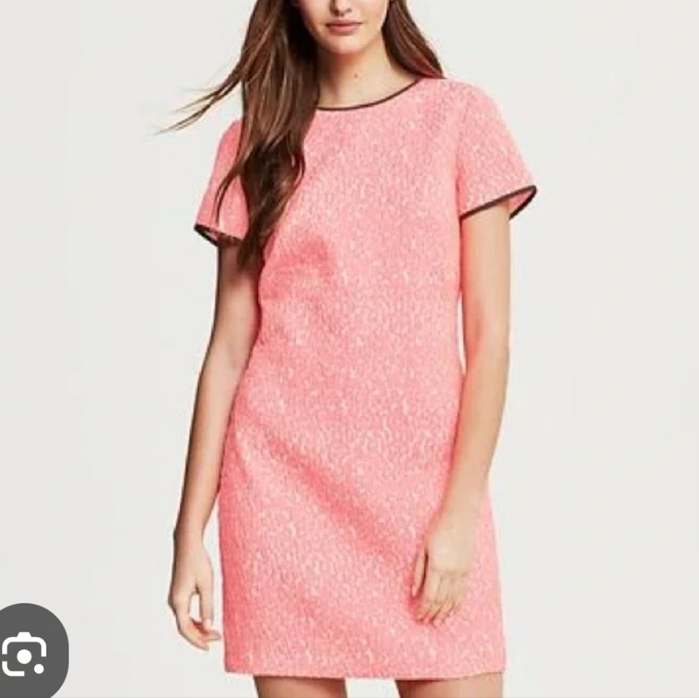BANANA REPUBLIC Neon Pink Leopard Crepe‎ Sheath Dress Size 4